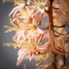 Sullivans 42" Artificial Eremurus Spray - 2 of 2