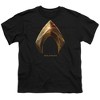 Boys' Short Sleeve Justice League Movie Aquaman Logo T-Shirt - 2 of 4