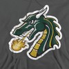 Tiffin University Official Distressed Primary Logo Adult Pull-Over Hoodie - 2 of 4
