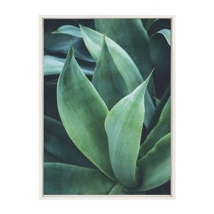 23" x 33" Sylvie Agave II Framed Canvas Wall Art by F2 Images White - Kate and Laurel - 1 of 4