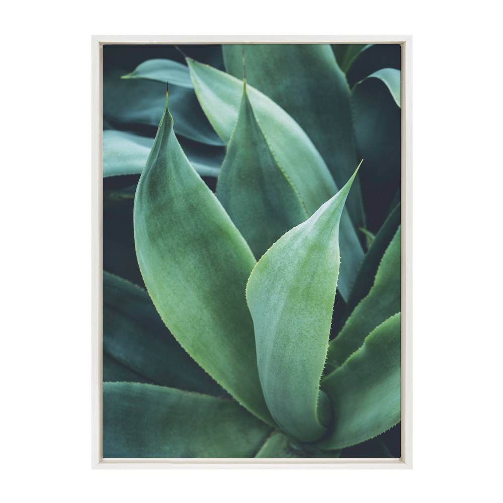 Photos - Other Decoration 23" x 33" Sylvie Agave II Framed Canvas Wall Art by F2 Images White - Kate and Laurel