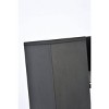 Elegant Lighting Raine Outdoor Wall in black - 4 of 4