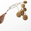 25"H Sullivans Artificial Christmas Gold Ball Twig Spray, Indoor Christmas Decor - 3 of 3