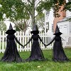 Evergreen Evergreen 52"H Lighted Halloween Witch Stakes, Set of 3 for Garden Lawn or Patio - 2 of 4