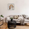Stupell Industries Pet Beagle Patiently Waiting, 24" x 24" - 2 of 4