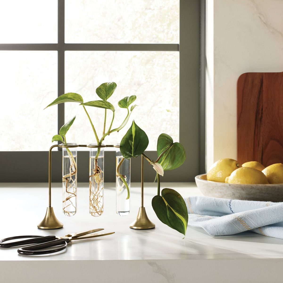 Brass and Glass Plant Propagation Vase Set - Hearth & Hand™ with Magnolia - thumbnail 2
