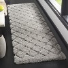 Adriana Shag ARG780 Power Loomed Indoor Rug - Safavieh - 2 of 4