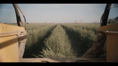 Play California Olive Ranch Global Blend Extra Virgin Olive Oil - 33.8 fl oz, video 3 of 5 slides