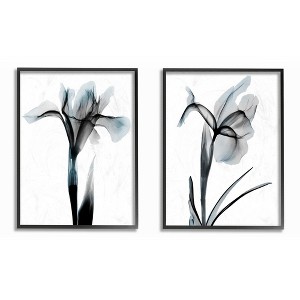 Stupell Industries Contrast Black And Blue Flower Bloom Designs Black Framed Giclee 2pc Set, 11 x 14 - 1 of 3