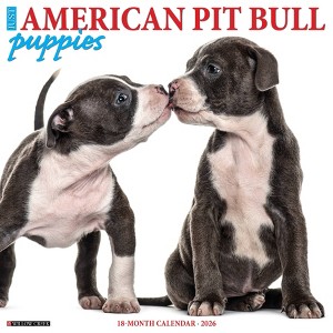 Willow Creek Press 2026 American Pit Bull Terrier Puppies Wall Calendar - 1 of 4