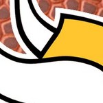 minnesota vikings