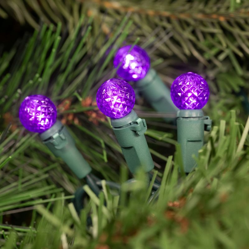 Northlight LED G12 Berry Christmas Lights - 16' Green Wire - Purple - 50 ct, 2 of 6