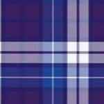 dark purple plaid