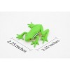 Collectible Wildlife Gifts | Green Tree Frog, Hand Painted, Amphibian, Hard Rubber, Realistic Frog, Model,  Toy, Gift,       2 1/4"    F4401 B9 - 2 of 4