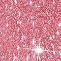 glitter red