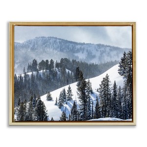Stupell Industries Quiet Snowy Mountain Slopes Scattered Fir Trees Floating Frame Canvas Art, Gold, 21" x 17" - 1 of 4