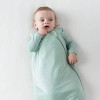 Kyte Baby Sleep Bag 2.5 TOG - 3 of 4