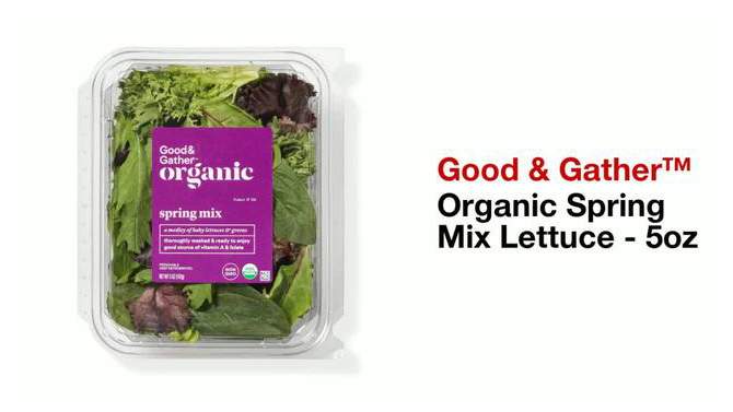 Organic Spring Mix Lettuce - 5oz - Good &#38; Gather&#8482;, 2 of 5, play video