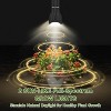 Plant Shelf with Grow Light & Wheels, Tall Plant Stand Indoor, 6 Tiered Large Metal Half-Moon Shape - 4 of 4