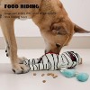 QuestaPack Halloween Zombie Mummy Dog Toys with Organs - 4 of 4
