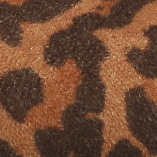 leopard/camel