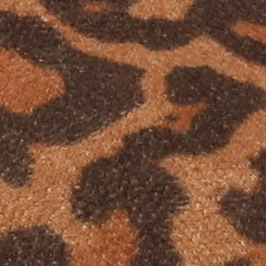 leopard/camel