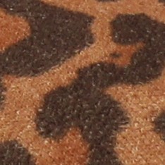 leopard/camel