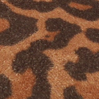 leopard/camel