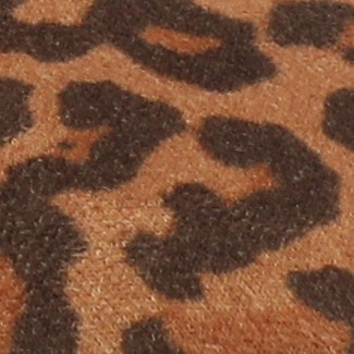 leopard/camel