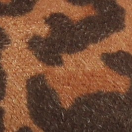 leopard/camel