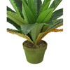 Northlight Two-Tone Bird Nest Fern Artificial Potted Plant - 22" - Green and Brown - 2 of 4