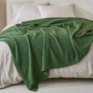 50"x60" Cotton Waffle Knit Throw Blanket - Isla Jade - 1 of 3