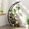 5 Tier Metal Plant Stand Indoor Half Moon Shape Ladder Display Rack - 2 of 4