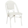 Torino Side Chair Indoor/Outdoor (Set Of 2) - Safavieh - 4 of 4