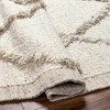 Hauteloom Soto Wool Living Room, Bedroom Area Rug - Bohemian, Transitional - 3 of 4