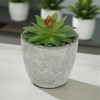 Unique Bargains Artificial Plants Mini Echeveria in Pulp 2.36"x2.36"x3.15" 1 Pc - 2 of 4
