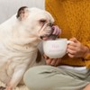 Fur Mama Cappuccino Mug Dolomite 24 oz - 3 of 3