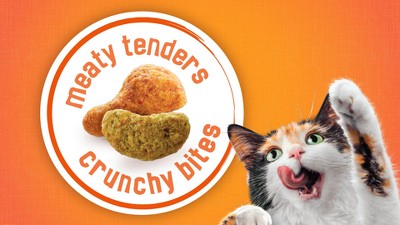 purina one healthy weight dog food Purina ONE SmartBlend Healthy Weight High Protein Formula Adult Premium  Dog Food