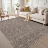 Acekool Washable Area Rug, Non-Slip Modern Carpet for Living Room, Bedroom, Dining Room, Playroom, Office, Low Pile, Soft - 2 of 4