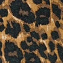 brown painterly cheetah