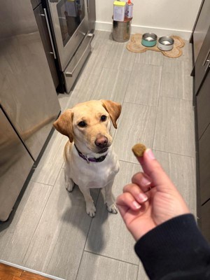 Guest review image 1 of 1, zoom in