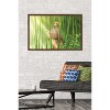 Trends International Fruits Basket - Kyo Soma Framed Wall Poster Prints - 2 of 4