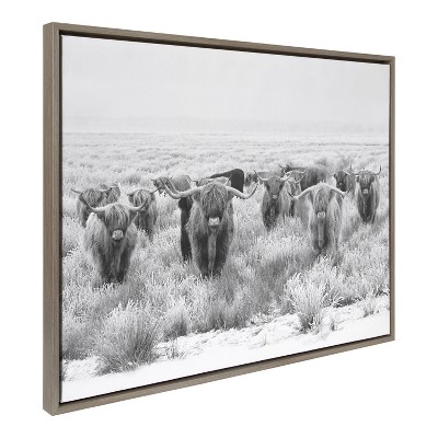 Large Black and White Highland Cow Canvas Print with Gray Frame