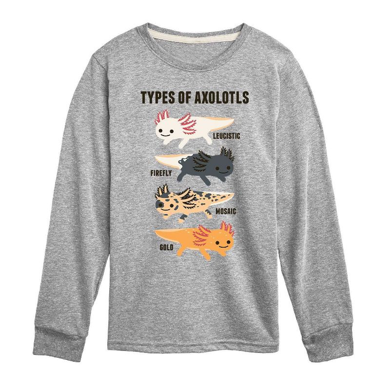 Boys' Types Of Axolotls Long Sleeve Graphic T-Shirt - Heather Gray, 1 of 2