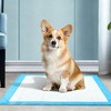 Swtroom Puppy Pee Pads Dog Pad Pee Potty Training Disposable Pad 22" x 22" 100 Pcs - 4 of 4