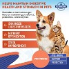Beloved Pets Probiotics & Prebiotics with Enzymes Supplement for Dogs and Cats, Digestive Gut Flora Health Supports 2 Oz  - 1 Pack - 2 of 4