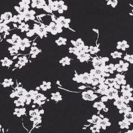 black/ivory blossoms
