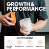 Genius Mass Gainer – Salted Caramel Natural Muscle Builder for Lean Weight Gain – Anabolic Support for Men & Women - 3 of 4