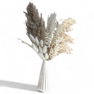 Alilang Natural Pampas Grass and Bunny Tail Dried Floral Arrangement, 17.5 Inches - Gray - 1 of 4