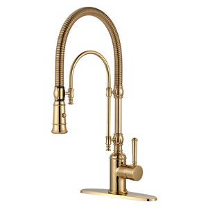 WOWOW Single Handle High Arc Pull Down Sprayer Kitchen Faucet - 1 of 4